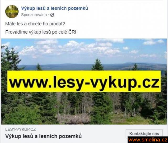  Koupíme lesy po celé ČR 
